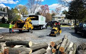 Best Hedge Trimming  in South Barrington, IL