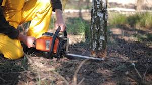 Best Soil Testing and Treatment  in South Barrington, IL